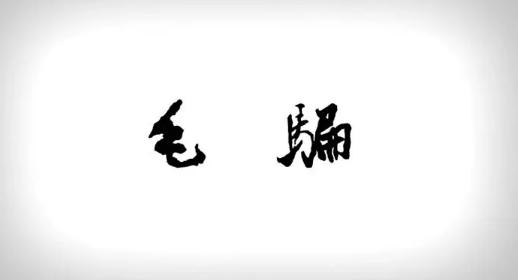 網(wǎng)劇《毛騙》